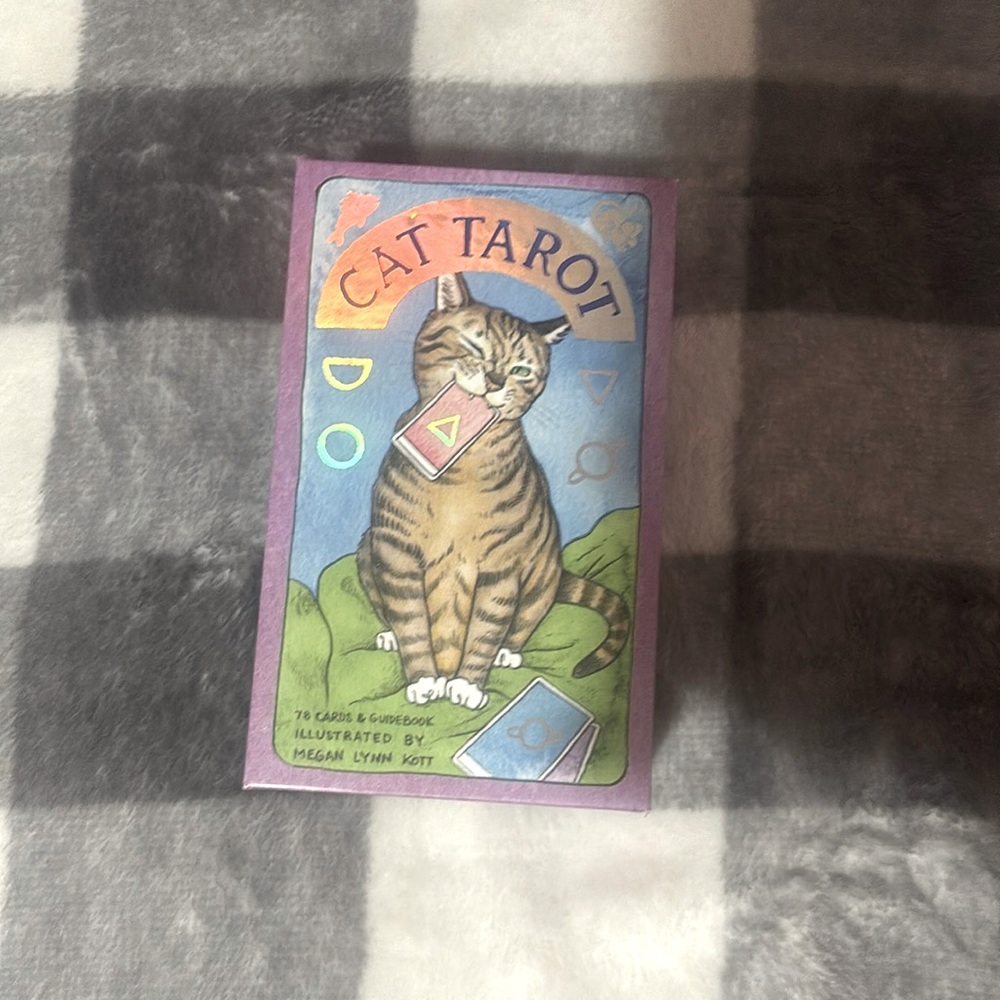 cat tarot cards